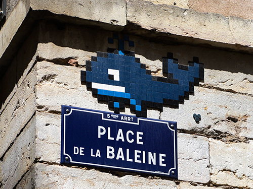 Photographie de Lyon 9